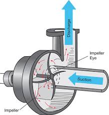 Centrifugal Pump